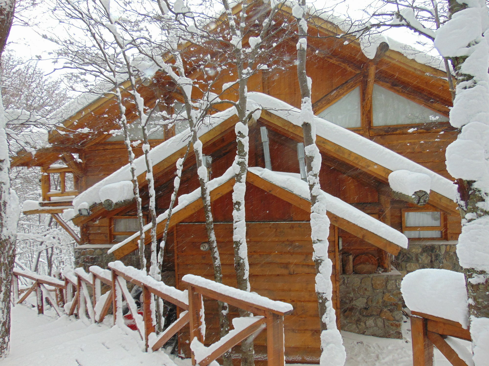 Patagonia Villa Lodge أوشويا المظهر الخارجي الصورة